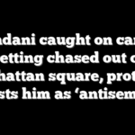 Mamdani caught on camera getting chased out of Manhattan square, protester blasts him as ‘antisemite’