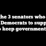 Meet the 3 senators who broke with Democrats to support a bill to keep government open