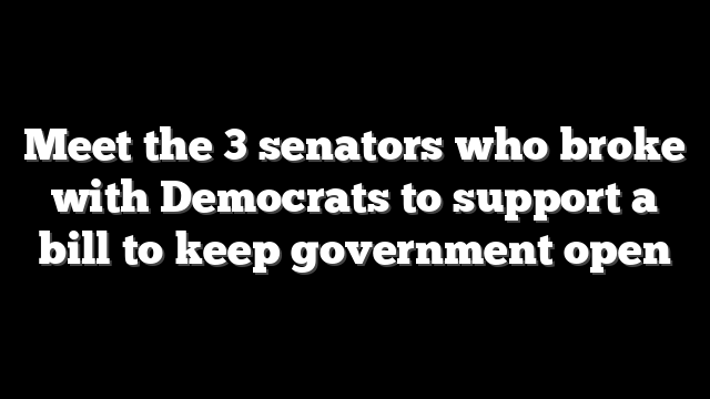 Meet the 3 senators who broke with Democrats to support a bill to keep government open