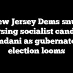 New Jersey Dems snub endorsing socialist candidate Mamdani as gubernatorial election looms