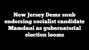 New Jersey Dems snub endorsing socialist candidate Mamdani as gubernatorial election looms