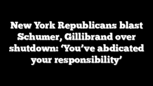 New York Republicans blast Schumer, Gillibrand over shutdown: ‘You’ve abdicated your responsibility’