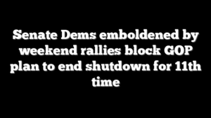 Senate Dems emboldened by weekend rallies block GOP plan to end shutdown for 11th time