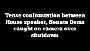 Tense confrontation between House speaker, Senate Dems caught on camera over shutdown