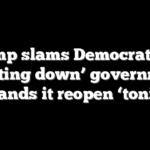 Trump slams Democrats for ‘shutting down’ government, demands it reopen ‘tonight’