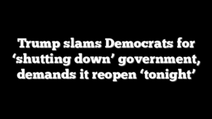 Trump slams Democrats for ‘shutting down’ government, demands it reopen ‘tonight’