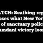 WATCH: Scathing report exposes what New Yorkers think of sanctuary policies as Mamdani victory looms