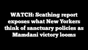 WATCH: Scathing report exposes what New Yorkers think of sanctuary policies as Mamdani victory looms