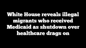 White House reveals illegal migrants who received Medicaid as shutdown over healthcare drags on
