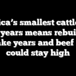 America’s smallest cattle herd in 70 years means rebuilding will take years and beef prices could stay high