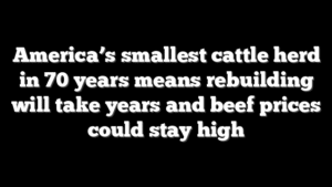 America’s smallest cattle herd in 70 years means rebuilding will take years and beef prices could stay high
