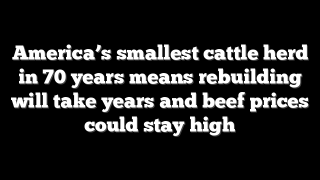 America’s smallest cattle herd in 70 years means rebuilding will take years and beef prices could stay high