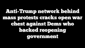 Anti-Trump network behind mass protests cracks open war chest against Dems who backed reopening government