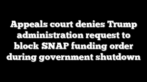 Appeals court denies Trump administration request to block SNAP funding order during government shutdown