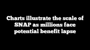 Charts illustrate the scale of SNAP as millions face potential benefit lapse