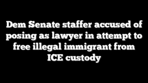 Dem Senate staffer accused of posing as lawyer in attempt to free illegal immigrant from ICE custody