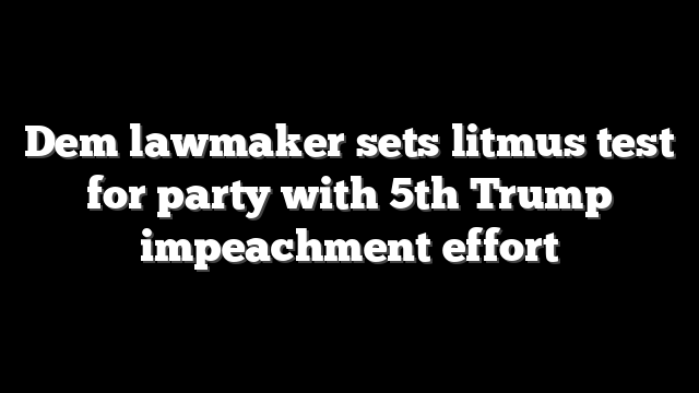 Dem lawmaker sets litmus test for party with 5th Trump impeachment effort