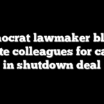 Democrat lawmaker blasts Senate colleagues for caving in shutdown deal
