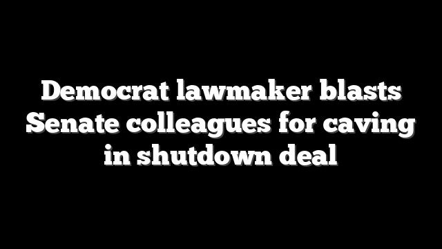 Democrat lawmaker blasts Senate colleagues for caving in shutdown deal