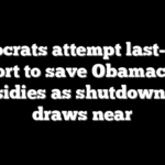 Democrats attempt last-ditch effort to save Obamacare subsidies as shutdown end draws near