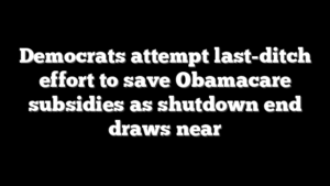 Democrats attempt last-ditch effort to save Obamacare subsidies as shutdown end draws near