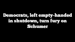 Democrats, left empty-handed in shutdown, turn fury on Schumer