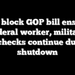 Dems block GOP bill ensuring federal worker, military paychecks continue during shutdown