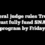 Federal judge rules Trump must fully fund SNAP program by Friday