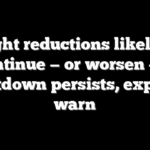 Flight reductions likely to continue — or worsen — if shutdown persists, experts warn