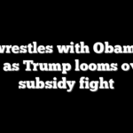 GOP wrestles with Obamacare fix as Trump looms over subsidy fight
