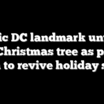 Iconic DC landmark unveils first Christmas tree as part of push to revive holiday spirit