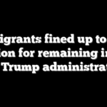 Immigrants fined up to $1.8 million for remaining in US sue Trump administration
