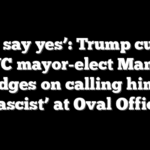 ‘Just say yes’: Trump cuts in as NYC mayor-elect Mamdani dodges on calling him a ‘fascist’ at Oval Office