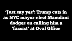 ‘Just say yes’: Trump cuts in as NYC mayor-elect Mamdani dodges on calling him a ‘fascist’ at Oval Office