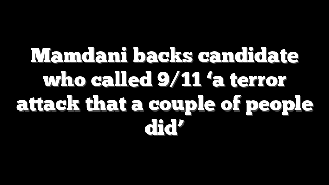 Mamdani backs candidate who called 9/11 ‘a terror attack that a couple of people did’