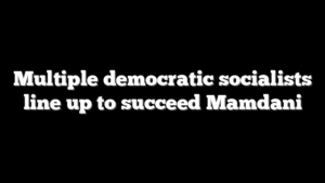Multiple democratic socialists line up to succeed Mamdani