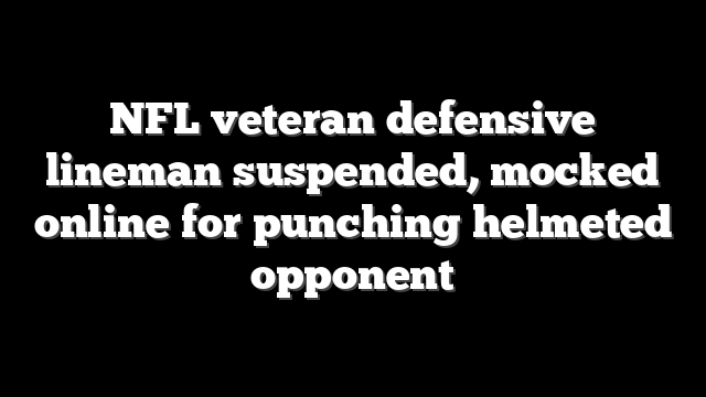 NFL veteran defensive lineman suspended, mocked online for punching helmeted opponent