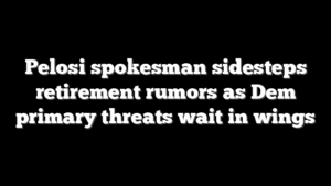 Pelosi spokesman sidesteps retirement rumors as Dem primary threats wait in wings