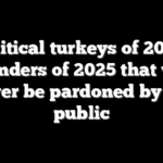 Political turkeys of 2025: Blunders of 2025 that will never be pardoned by the public