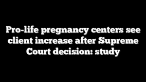 Pro-life pregnancy centers see client increase after Supreme Court decision: study