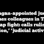 Reagan-appointed judge torches colleagues in Texas map fight: calls ruling ‘fiction,’ ‘judicial activism’