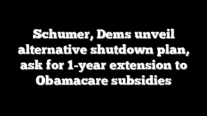 Schumer, Dems unveil alternative shutdown plan, ask for 1-year extension to Obamacare subsidies