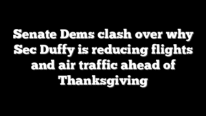 Senate Dems clash over why Sec Duffy is reducing flights and air traffic ahead of Thanksgiving