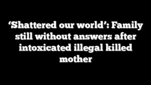 ‘Shattered our world’: Family still without answers after intoxicated illegal killed mother