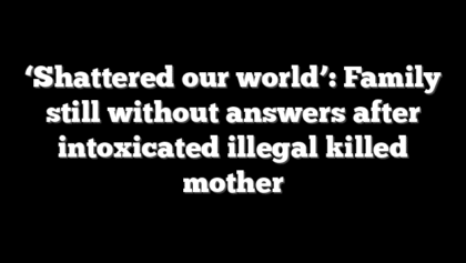 ‘Shattered our world’: Family still without answers after intoxicated illegal killed mother