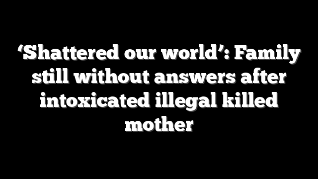 ‘Shattered our world’: Family still without answers after intoxicated illegal killed mother