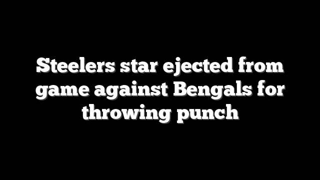 Steelers star ejected from game against Bengals for throwing punch