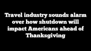 Travel industry sounds alarm over how shutdown will impact Americans ahead of Thanksgiving
