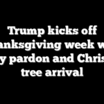 Trump kicks off Thanksgiving week with turkey pardon and Christmas tree arrival