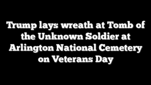 Trump lays wreath at Tomb of the Unknown Soldier at Arlington National Cemetery on Veterans Day